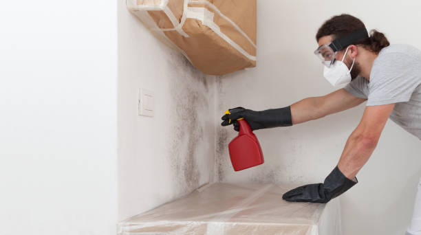 Professional Basement Mold Remediation technician working in Carefree, AZ