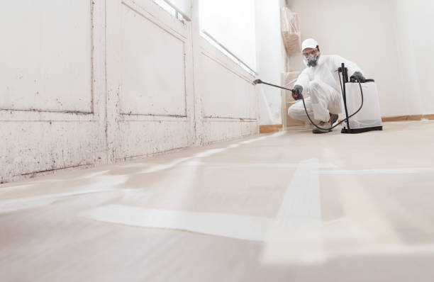 24/7 Emergency Basement Mold Remediation experts in Carefree, AZ